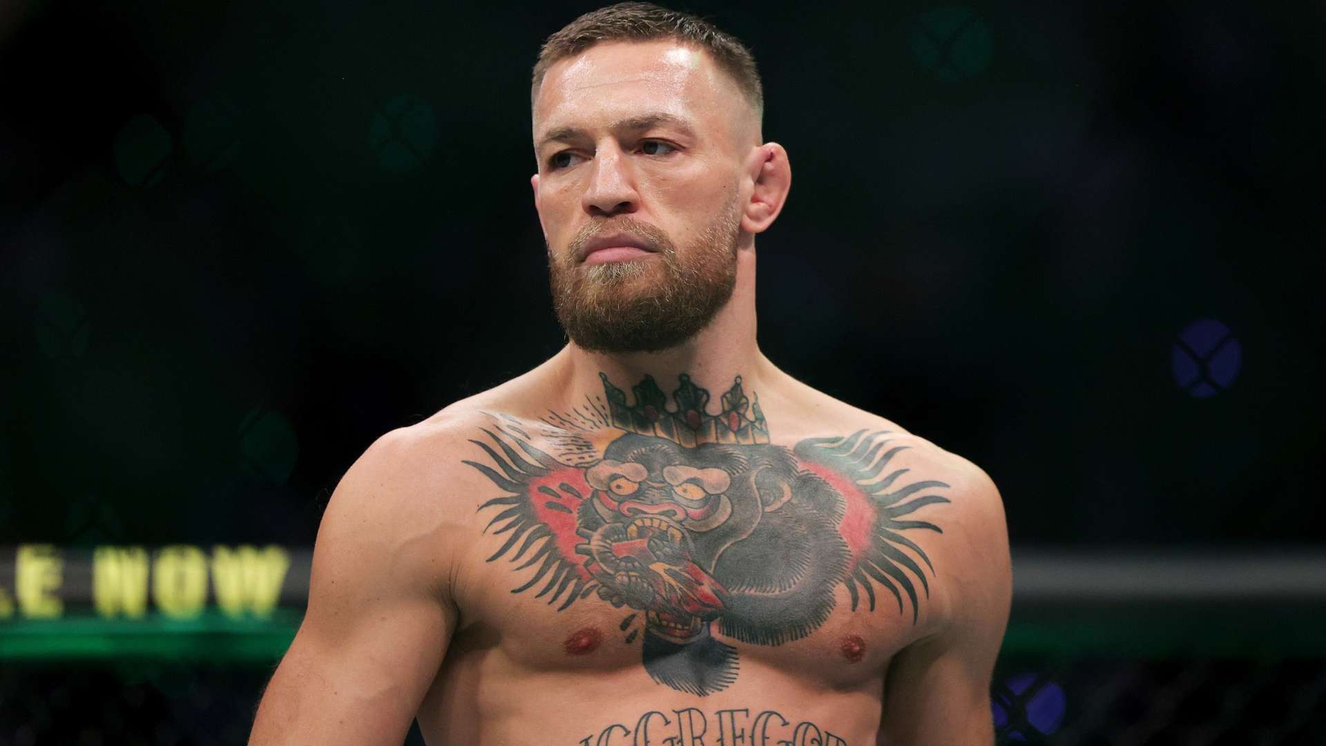 与团队合作 与团队合作