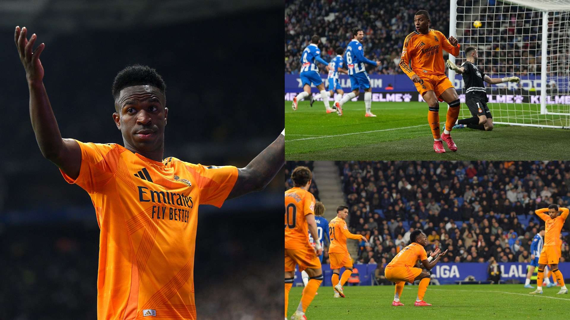 新鲜血液 新鲜血液